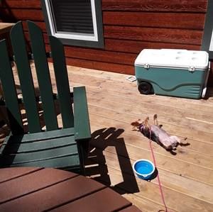 Meet your Posher, Robert